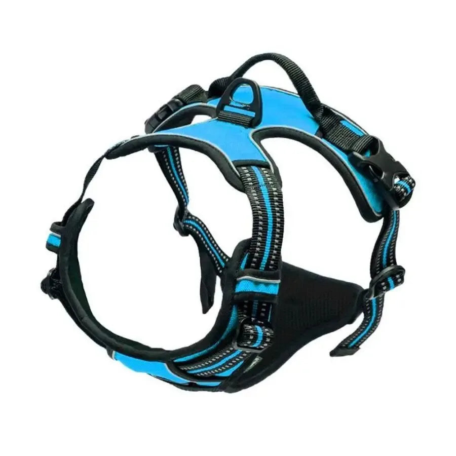 Premium Dog Walking Set – Harness, Collar & Leash