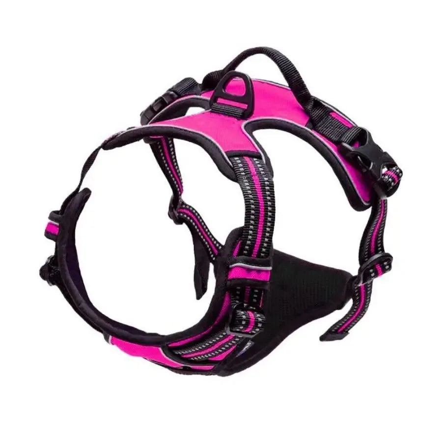 Premium Dog Walking Set – Harness, Collar & Leash