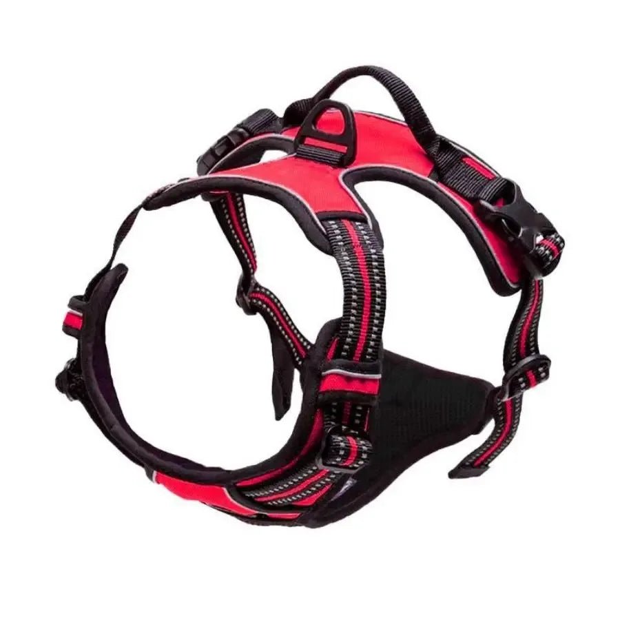 Premium Dog Walking Set – Harness, Collar & Leash