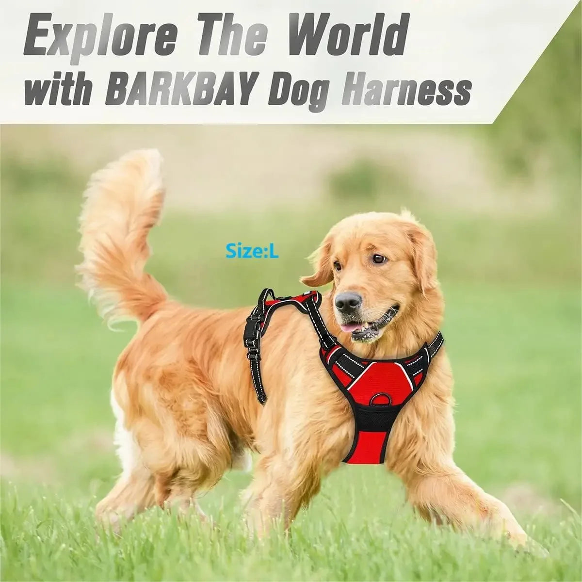 Premium Dog Walking Set – Harness, Collar & Leash