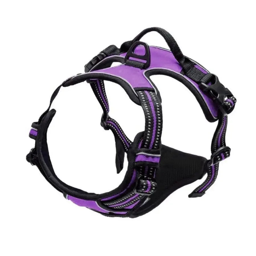 Premium Dog Walking Set – Harness, Collar & Leash