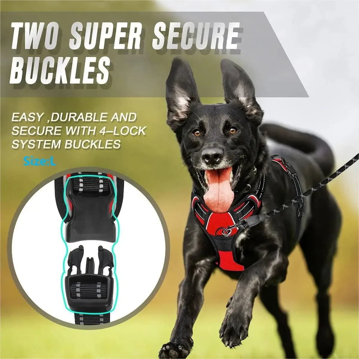 Premium Dog Walking Set – Harness, Collar & Leash