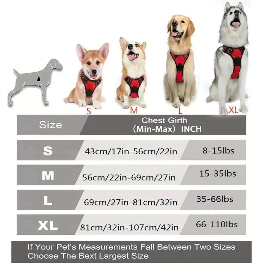 Premium Dog Walking Set – Harness, Collar & Leash