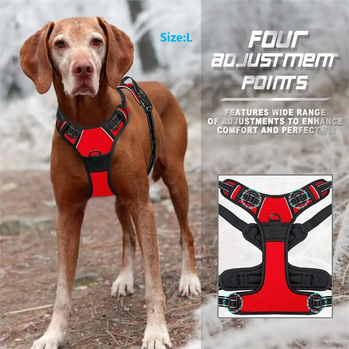 Premium Dog Walking Set – Harness, Collar & Leash