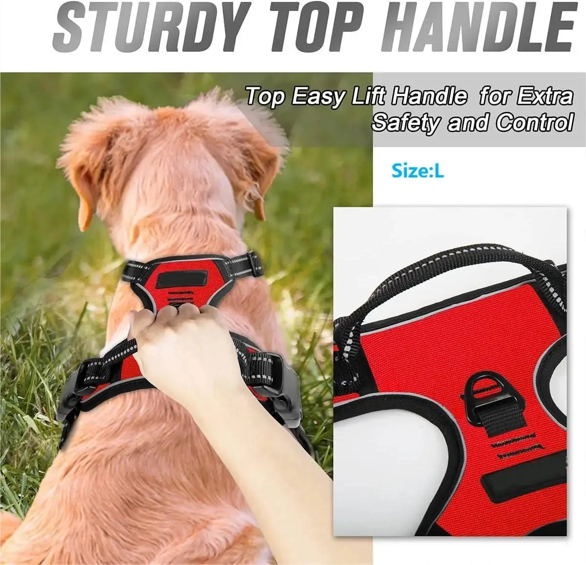 Premium Dog Walking Set – Harness, Collar & Leash